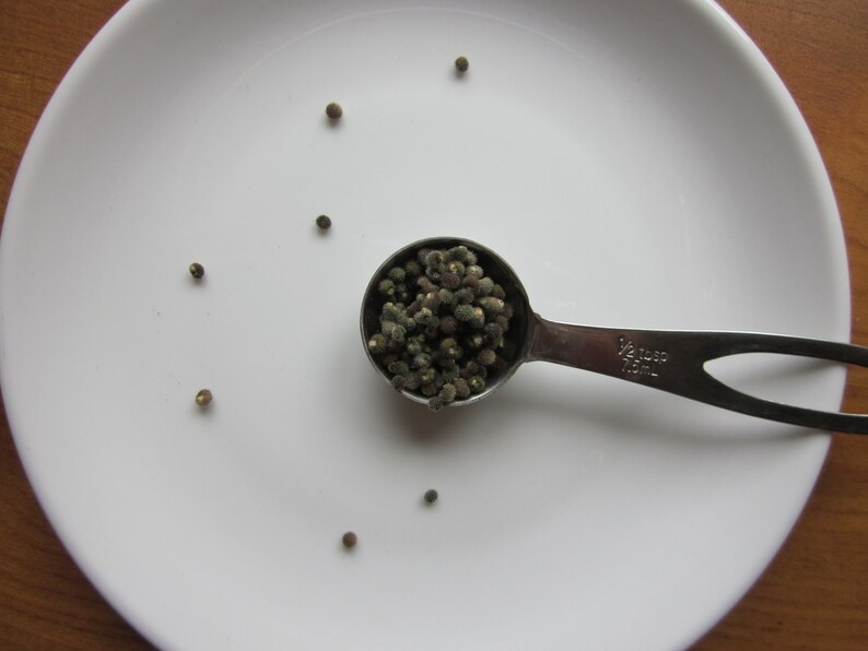 Rare Spell Ingredient Cleavers Seeds for Fertility Magic. Etsy