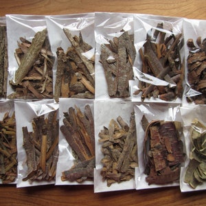 Dried Bark Fig, Ginkgo, Cherry, Elder, Ash, Blackthorn, Hazel, Alder, Oak, Ivy, Birch, Hawthorn, Willow, Blackberry, Apple, Gorse, Holly image 1