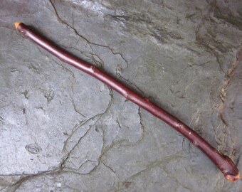 Natural Wood Wand - Blackthorn - to Protect Your Space.