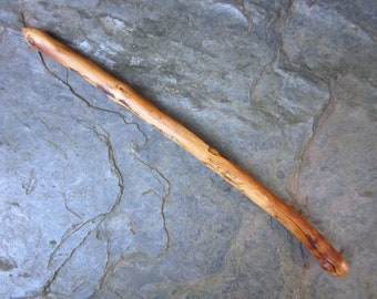 Rare Natural Wood Wand - Wayfaring Tree - for Powerful Spellwork.