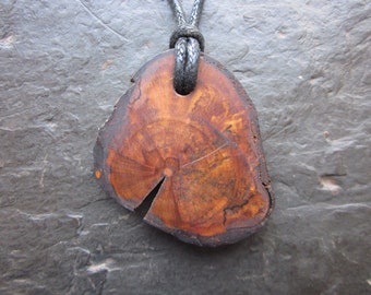 Rare Natural Wood Pendant - Wayfaring Tree - Beautiful Rustic Jewelry.