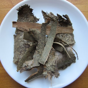 Dried Bark Fig, Ginkgo, Cherry, Elder, Ash, Blackthorn, Hazel, Alder, Oak, Ivy, Birch, Hawthorn, Willow, Blackberry, Apple, Gorse, Holly ash bark