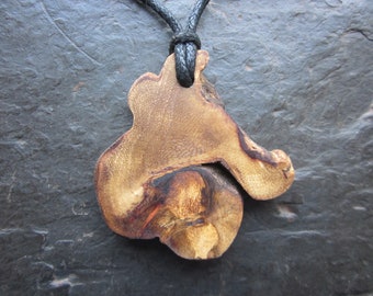 Rare Natural Wood Pendant - Gorse/Furze - for Passion.