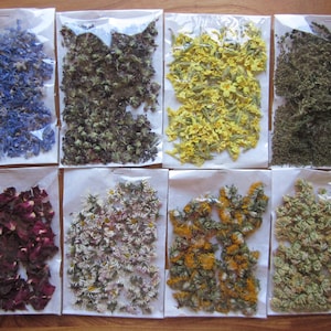 English Wild Flowers Dried for Incense, Spell or Charm Ingredients. *Violet*Primrose*Bluebell*Gorse*Daisy*Dandelion*Clover*Selfheal*Nettle*