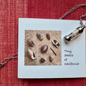 Puede incluir: Una tarjeta blanca con una foto de pequeñas conchas en una playa de arena. La tarjeta tiene el texto "Tiny Shells of California" escrito en ella. Una cadena plateada con un pequeño frasco de vidrio lleno de conchas cuelga sobre la tarjeta.