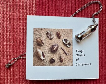 Tiny California Seashell Collection Pendant