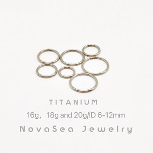 Anneau de nez segment articulé en titane argenté 20 g/18 g/16 g - cerceau de nez - anneau de septum - créoles - cerceau à cliquet articulé sans couture - cerceau de cartilage