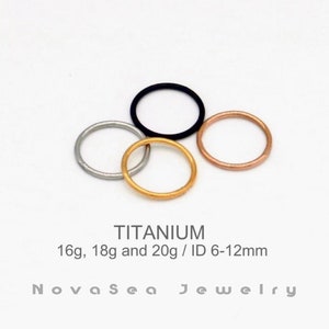20G/18G/16G Titanium Hinged Segment Nose Ring - Nose Hoop - Septum Rings - Hoop Earrings - Seamless Hinged Clicker Hoops - Cartilage Hoop