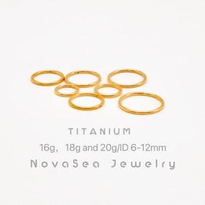 20G/18G/16G Gold Titan Klappsegment Nasenring - Nasenreifen - Septumring - Creolen - Knorpelreifen - Nahtloser Klappklickerreifen
