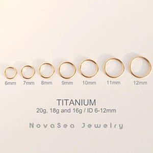 20G/18G/16G Titan Klappsegment Nasenring - Nasenreifen - Septumringe - Creolen - Knorpelreifen - Nahtloser Klappklickerreifen
