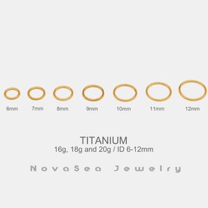 20G/18G/16G Gold Titan Klappsegment Nasenring - Nasenreifen - Septumringe - Creolen - Nahtloser Klappklicker Hoop - Knorpelreifen