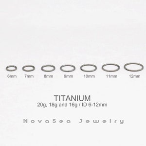 20G/18G/16G Silver Titanium Hinged Segment Nose Ring- Nose Hoops - Septum Ring -Hoop Earrings - Seamless Hinged Clicker Hoop- Cartilage Hoop