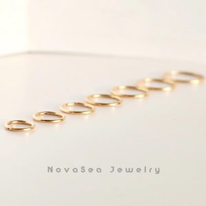 20G/18G/16G Titanium Hinged Segment Nose Ring - Nose Hoop - Hoop Earring - Septum Rings - Cartilage Hoops - Seamless Hinged Clicker Hoop