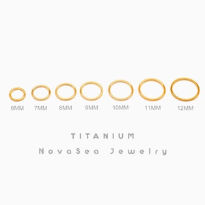 20G/18G/16G Titan Klappsegment Nasenring - Nasenbügel - Septumring - Knorpelohrring - Nahtloser Klappklickerreifen