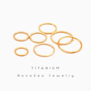 20G/18G/16G Titanium Hinged Segment Nose Rings - Nose Hoops - Septum Rings - Hoop Earring - Cartilage Hoop - Seamless Hinged Clicker Hoops
