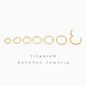 20G/18G/16G Gold Titan Klappsegment Nasenring - Nasenreifen - Hoopohrring - Septumring - Nahtloser Klappklickerreifen - Knorpelreifen