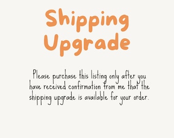 Shipping Upgrade (1x Comfort Colors T-Shirt)