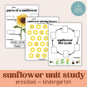 Sunflower Unit Study Homeschool | Fall Printables | Preschool Nature Study Bundle | Parts of a Sunflower | Life Cycle | Flower Activity