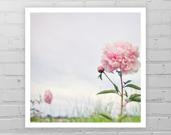 Pink Peony Photo Print/Pink Flower Art/Peony Art Print/Peony Picture/Peony Wall Art/Flower Wall Décor/Peony Photography/Pink Nursery Artwork