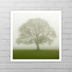 Oak Tree Photo Print/Minimalist Photo/Tree in Fog/Oak Tree Art/Oak Tree Photography/Winter Tree Picture/Bare Tree Print/Nature Photography image 1