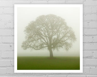 Eik foto Print/minimalistische foto/boom in de mist/Oak Tree kunst/Oak Tree fotografie/Winter boom foto/kale boom Print/natuurfotografie