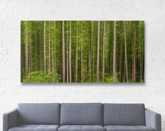 Green Forest Art Canvas Wrap/Pine Tree Wall Decor/Woodland Picture/Washington Landscape Panorama/Minimalist Tree Wall Art/Wide Nature Photo