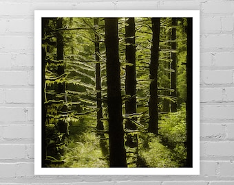 Mossy Forest Photo Print/Moss Green Tree Photography/Oregon Landscape/Mossy Tree Wall Decor/Woodland Photo Print/Oregon Nature Photography