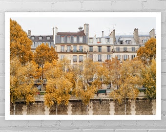 Paris Photo Print/French Architecture Art Print/France Wall Décor/Paris Home Decor/Fall Color Wall Art/Travel Photography/Yellow Autumn Tree