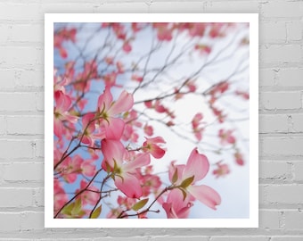 Dogwood Photo Print/Dogwood Art/Pink Dogwood Flower Photography/Minimal Spring Tree Wall Decor/Dogwood Blossom/Dogwood Picture/Pink Wall Art