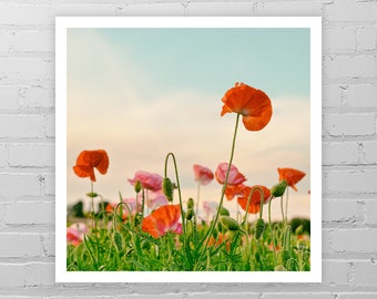 Red Poppies Photo Print/Simple Nature Photography/Red Poppy Art/Poppy Photograph/Summer Flower Art/Floral Wall Decor/Poppy Print/Poppy Field