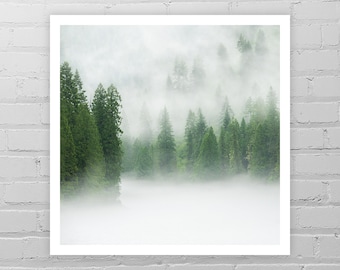 Foggy Forest Art/Pine Tree Picture/Fog Photo/Green Forest/Nature Photography/Cabin Art/Minimalist Forest Print/Rustic Wall Decor/Cottage Art