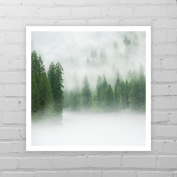 Foggy Forest Art/Pine Tree Picture/Fog Photo/Green Forest/Nature Photography/Cabin Art/Minimalist Forest Print/Rustic Wall Decor/Cottage Art