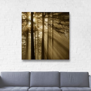 Foggy Trees Canvas Wrap/Forest Photography/Sunrise Sunbeams Fog Picture/Tree Wall Art/Forest Wall Decor/Rustic Cabin Art Print/Portland Art