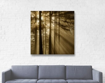 Foggy Trees Canvas Wrap/Forest Photography/Sunrise Sunbeams Fog Picture/Tree Wall Art/Forest Wall Decor/Rustic Cabin Art Print/Portland Art