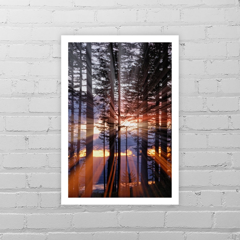 May include: A photograph of a forest with tall trees silhouetted against a bright orange and pink sunset. The sun's rays are shining through the trees, creating a dramatic effect.