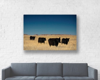 Nature Photography "On the Move" Black Cow Photo Cow Photography Farm Photo Country Photo Cow Picture Cow Art Print Cow Decor Country Decor