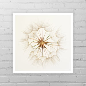 May include: A close-up of a dandelion seed head with delicate white and brown fibers radiating outwards from the center.