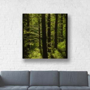 Forest Nature Photography &quot;Mossy Forest&quot; Mossy Green Tree Photograph, Oregon Landscape, Mossy Tree Picture, Wall Decor, Canvas Gallery Wrap