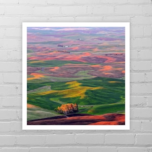 Steptoe Photo Print/Palouse Art/Farm Art Print/Farm Picture/Farmland Art/Washington Landscape Photography/Spring Sunset Art/Farm House Decor