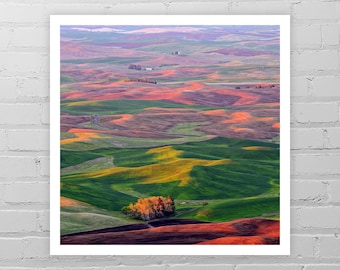 Steptoe foto Print/Palouse kunst/boerderij Art Print/boerderij foto/landbouwgrond kunst/Washington landschap fotografie/voorjaar zonsondergang kunst/Farm House Decor