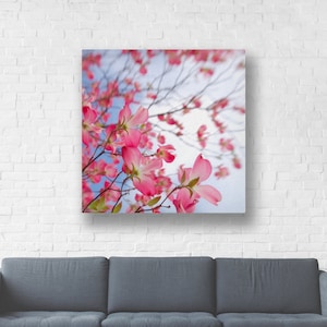 Pink Dogwood Flower Photo &quot;Dogwood Stretching&quot; Spring Flower Nature Photography, Dogwood Photo Dogwood Print Dogwood Art Canvas Gallery Wrap