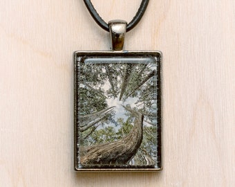 Pine Tree Pendant/Olympic National Park Jewelry/Washington Necklace/Forest Pendant/Tree Necklace/Forest Necklace/Tree Jewelry/Forest Jewelry