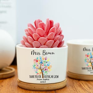 Regalo de agradecimiento personalizado, maceta para suculentas personalizada, agradecimiento a un maestro, regalo de graduación de un maestro, último día de clases, regalo para un mentor.