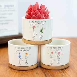 Vaso de flores personalizado para aniversário de melhor amiga, vaso de cerâmica personalizado para plantas, presente de amizade, presente de melhor amiga, presente para amante de plantas