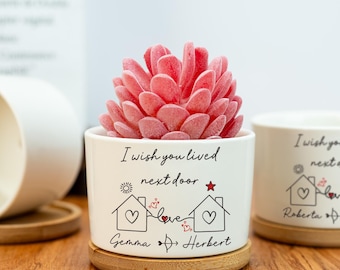 I Wish You Lived Next Door-plantpot, succulent stel, cadeau bestie, vriendschapscadeau, bloempot lange afstand voor vriend, zus mist je