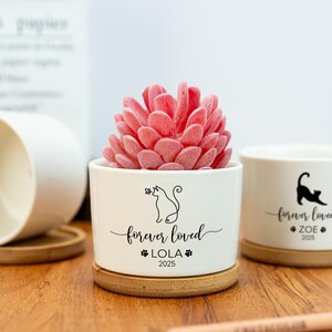 May include: White ceramic planter with a bamboo base, featuring a black line drawing of a cat and the text "forever loved LOLA 2025". A pink artificial succulent plant is in the planter.