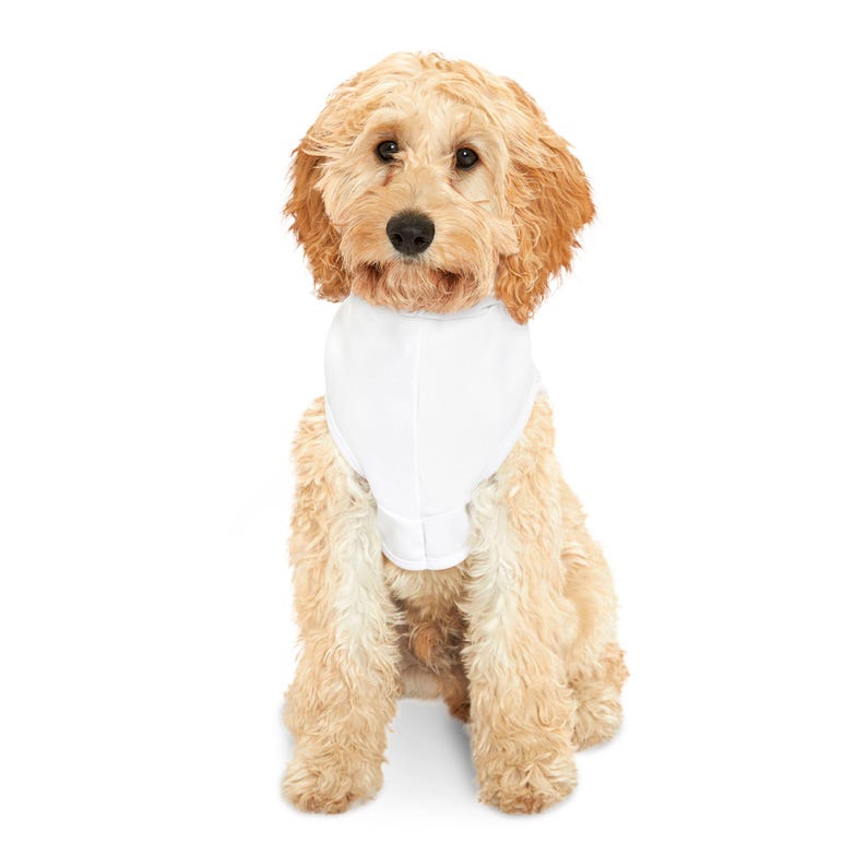 Bay FC Women's Soccer Pet Hoodie image 4