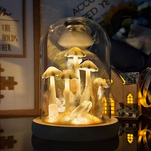 Lámpara de hongo hecha a mano con cristal y plumas: luz nocturna LED con cúpula de cristal, decoración de bosque encantado, regalo único para el dormitorio.