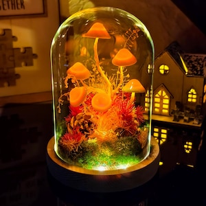 Glowing Mushroom Night Light in Glass Dome – LED Mushroom Lamp with Pinecone & Moss, Enchanted Forest Decor, Cozy Home Gift