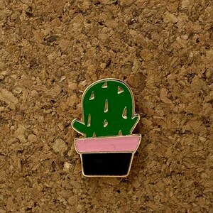 Brede geëmailleerde cactusspeld - vetplant in bloempot